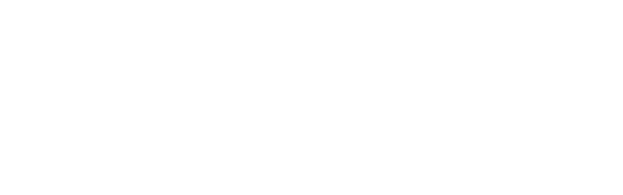 The Idea of You