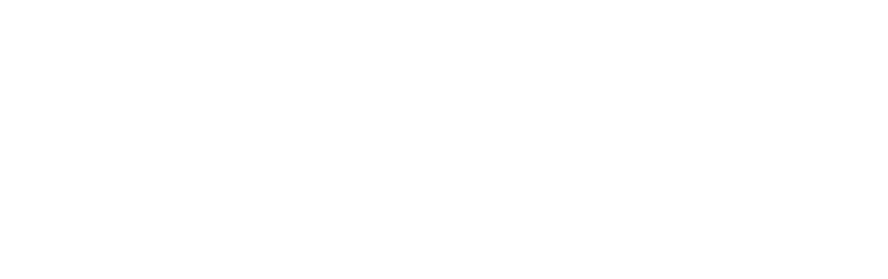 The Layover