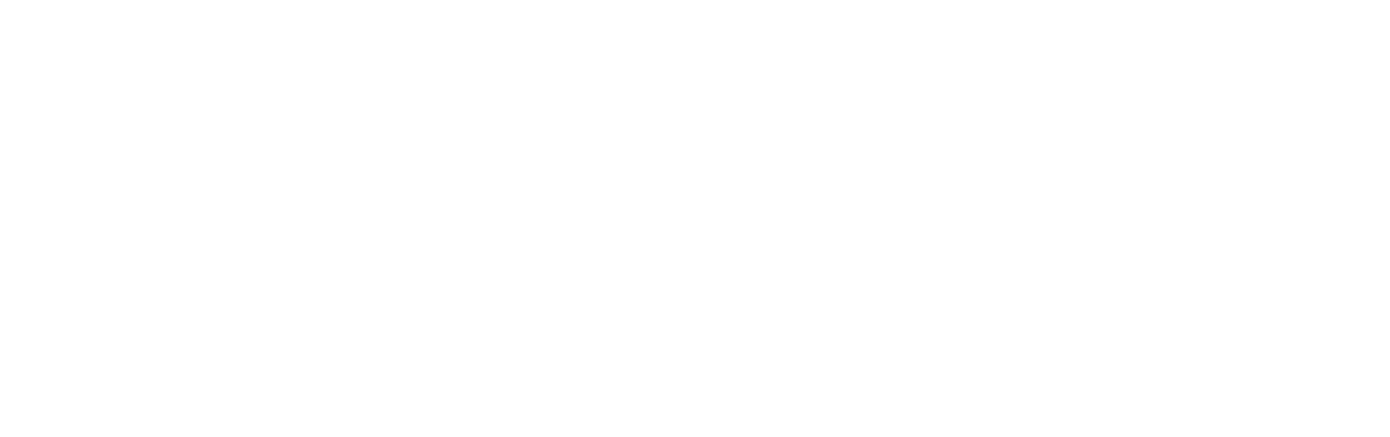 The Hustle