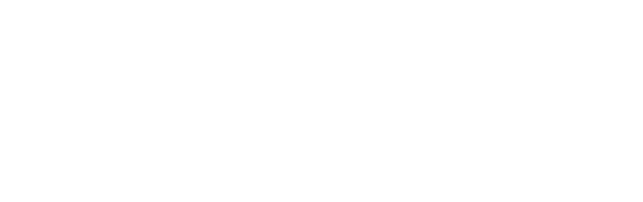 The Snowman