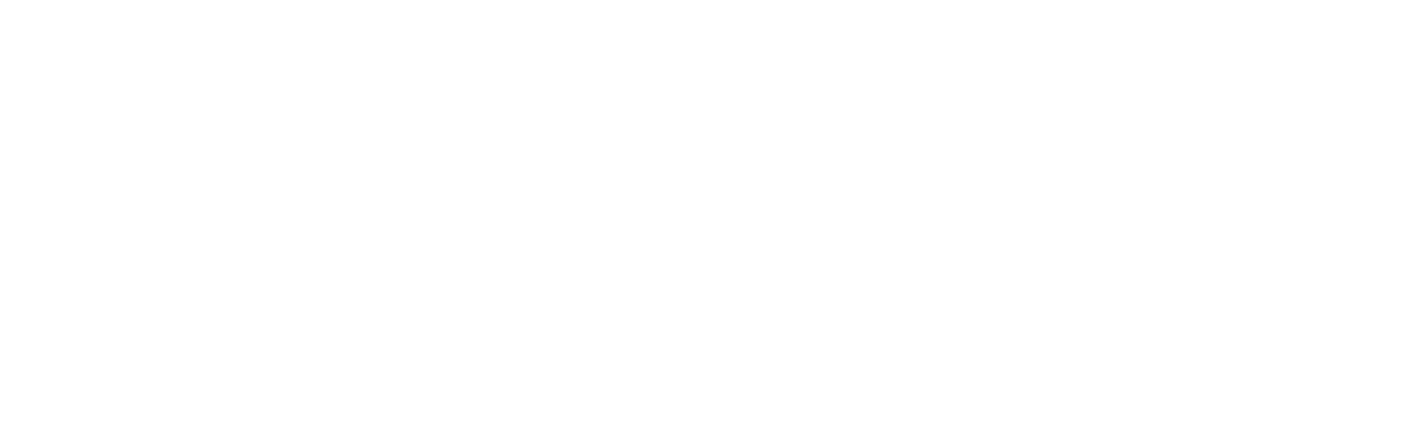 The Wedding Singer