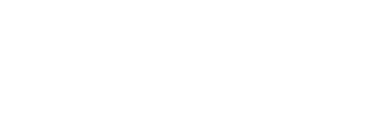 The Hot Chick