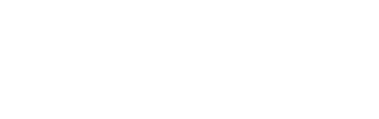 Blink Twice