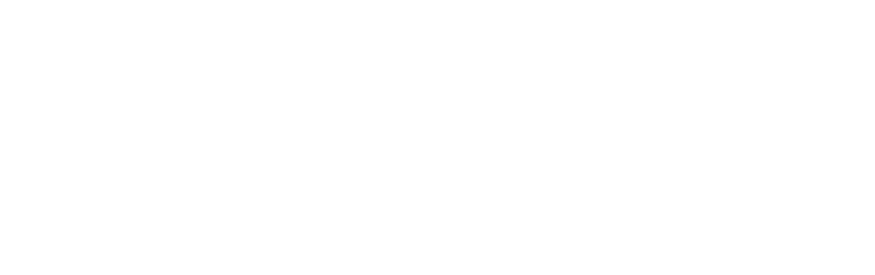 Flypaper
