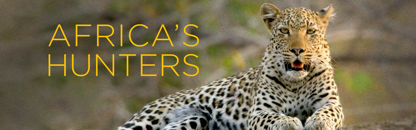 Africa's Hunters LOGO