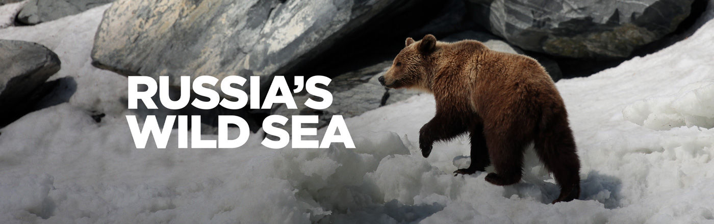 Russia's Wild Sea LOGO