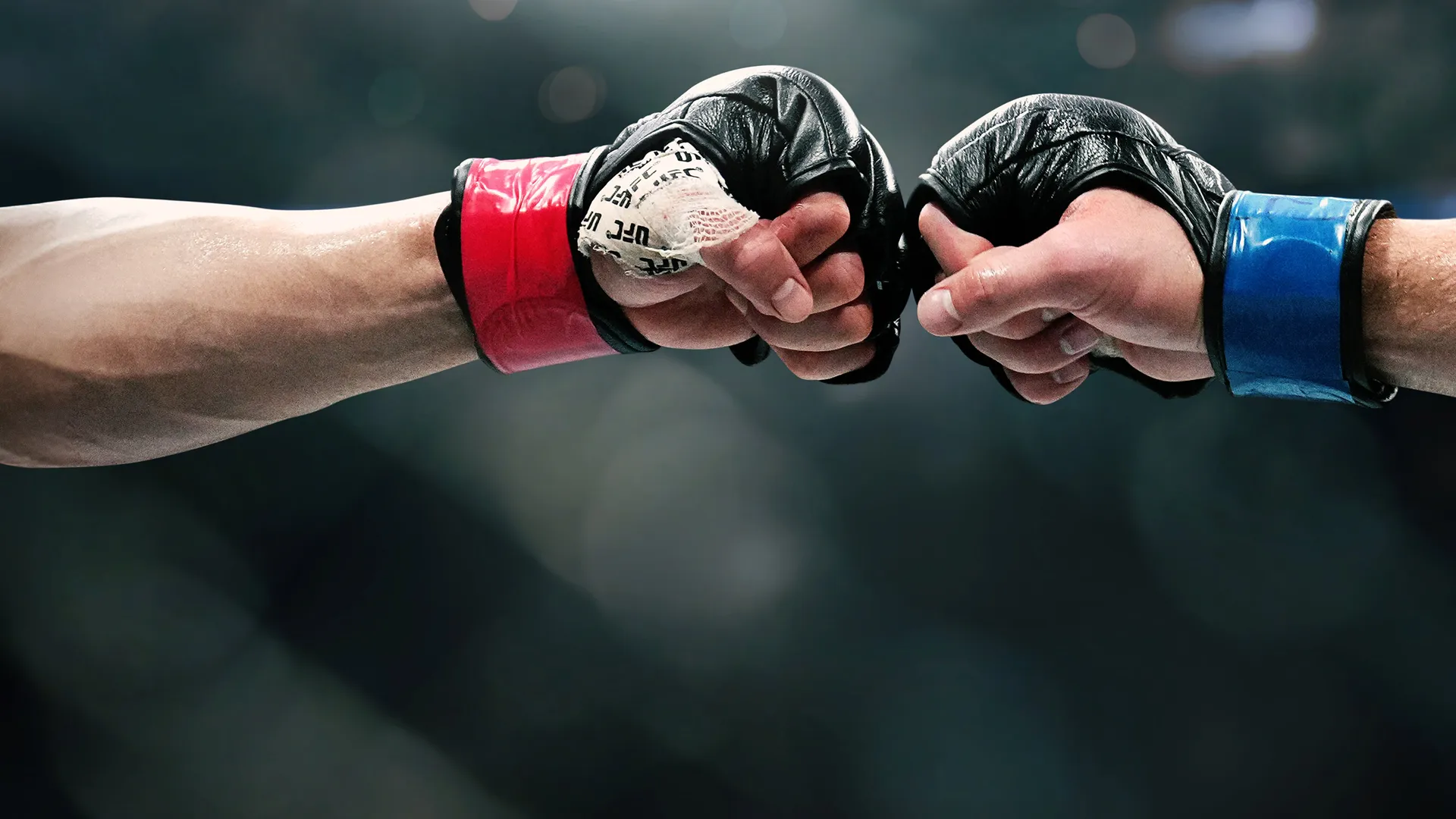 WATCH UFC FIGHT NIGHT LIVE ON PARAMOUNT visual data 8