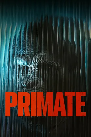 Primate