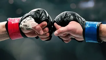 UFC Fight Night: English