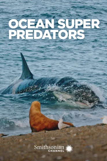 Ocean Super Predators