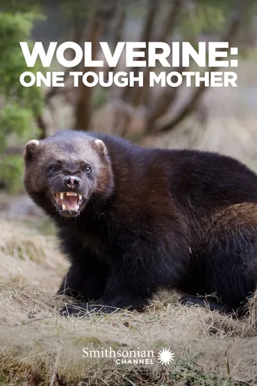 Wolverine: One Tough Mother