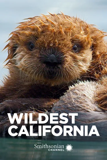 Wildest California
