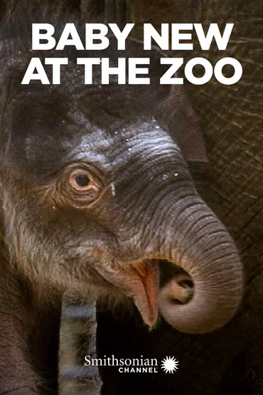 Baby New at the Zoo
