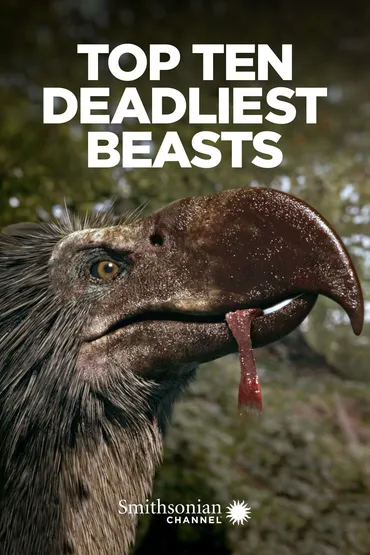 Top Ten Deadliest Beasts