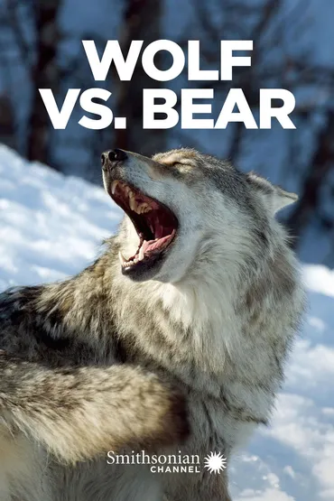 Wolf vs. Bear