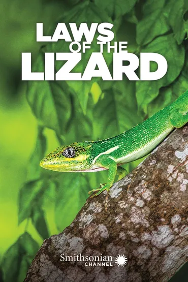 Laws of the Lizard