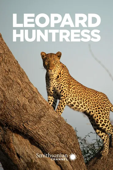 Leopard Huntress