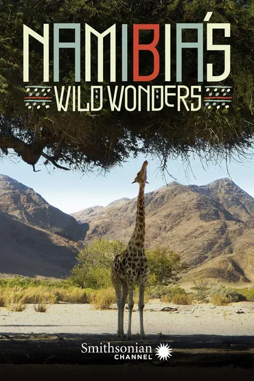 Namibia's Wild Wonders