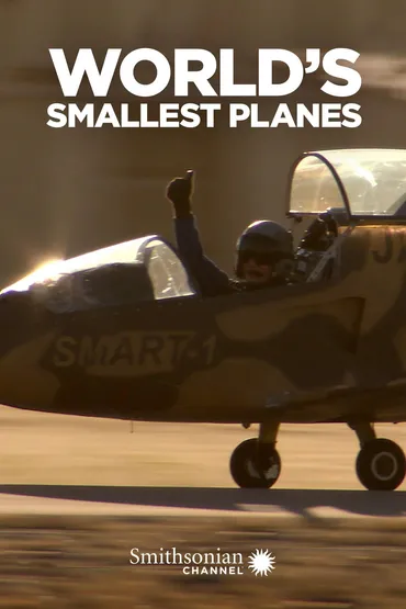 World's Smallest Planes