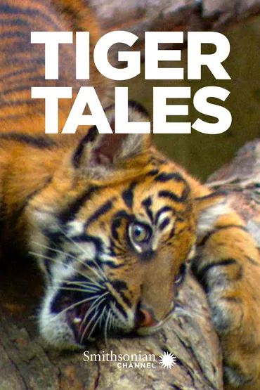 Tiger Tales