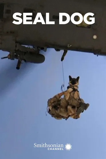 SEAL Dog