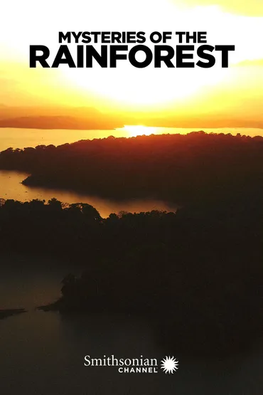 Mysteries of the Rainforest