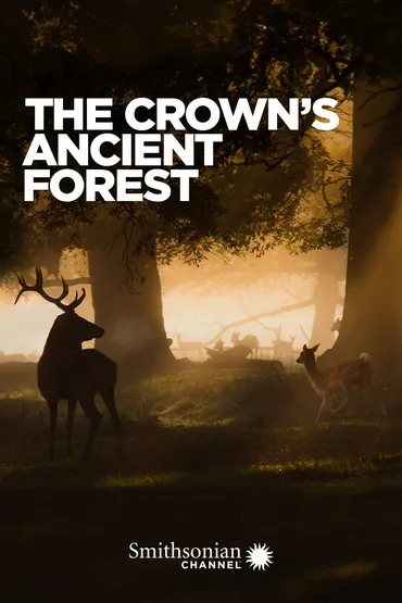 The Crown’s Ancient Forest