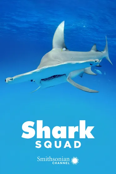 Shark Squad