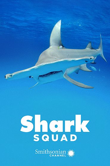 Shark Squad - Guadalupe: Island of the White Sharks