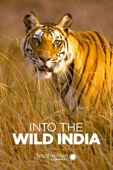 Into the Wild India