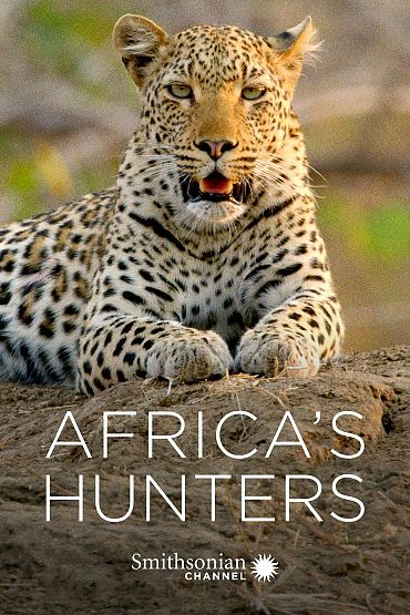 Africa's Hunters - The Hungry Leopard
