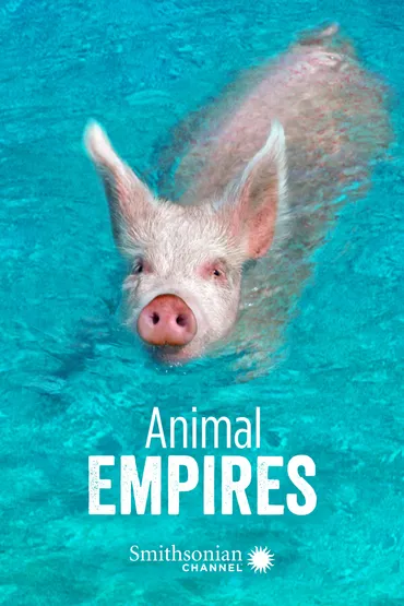 Animal Empires