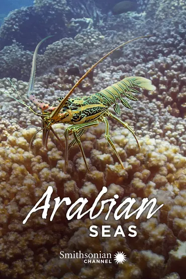 Arabian Seas - Carnivores of the Coral Garden