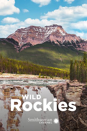 Wild Rockies - The Borderlands