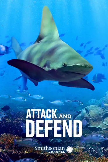 Attack and Defend