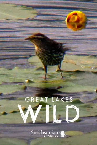 Great Lakes Wild