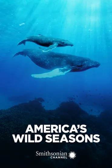 America's Wild Seasons - Spring