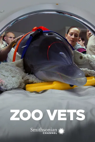 Zoo Vets