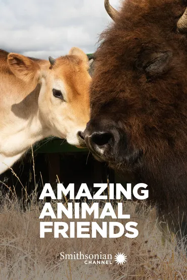 Amazing Animal Friends