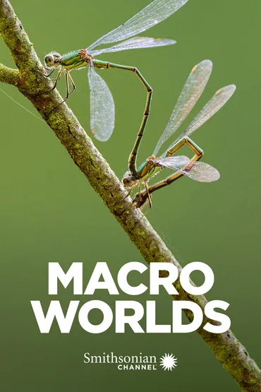 Macro Worlds - Winter is Coming
