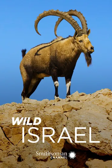 Wild Israel