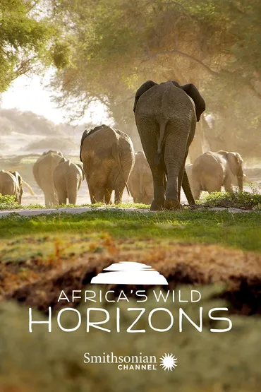 Africa's Wild Horizons