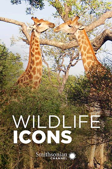 Wildlife Icons - Savanna Life