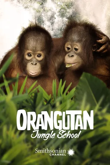 Orangutan Jungle School