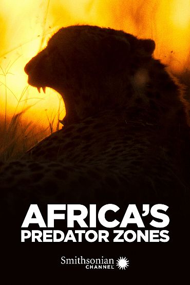 Africa's Predator Zones - Coliseum
