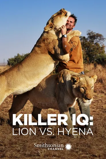 Killer IQ: Lion vs. Hyena