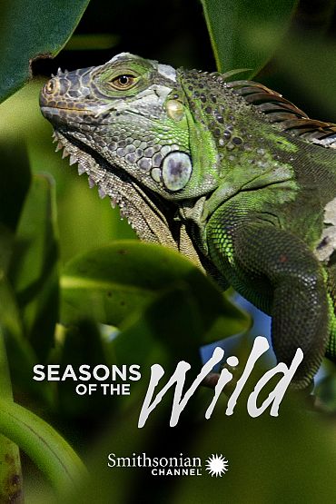 Seasons of the Wild - The Season of Drought