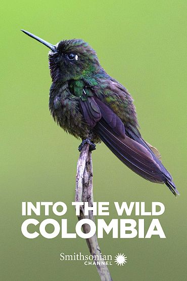 Into the Wild Colombia