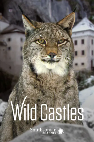Wild Castles