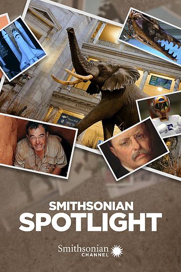 Smithsonian Spotlight - National Museum of African American History